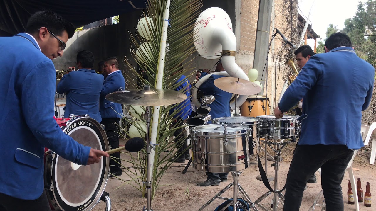 EL SON DEL POLVORÓN BANDA AMIGOS EN VIVO