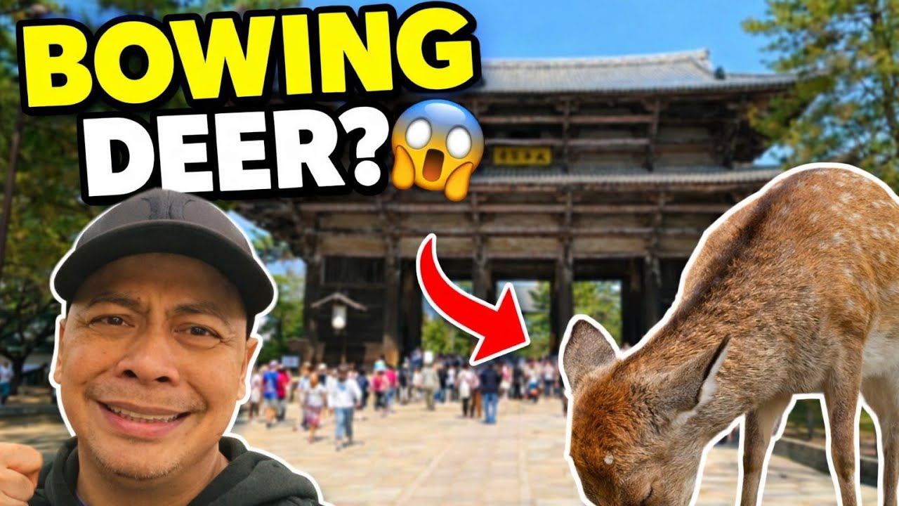 Bowing Deer?! Nara Park + Todai-ji 🇯🇵 Japan Vlog