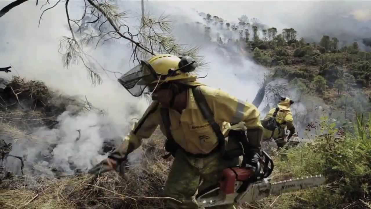 Profesionales del fuego: la dura batalla de los incendios forestales