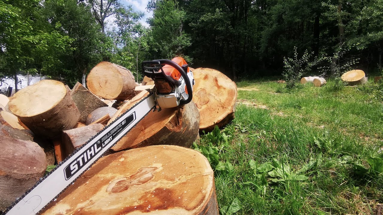 Stihl ms462 80cm bar -  getting the job done....