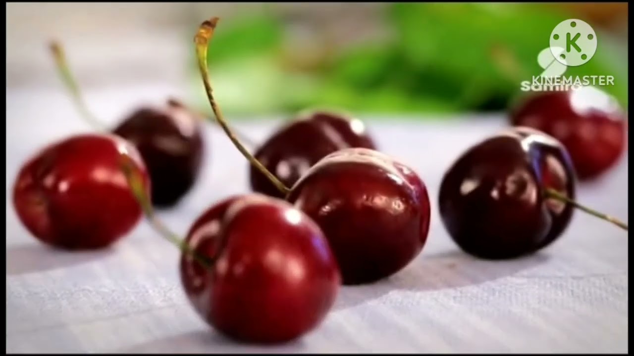 Samira tv ident cherry's cake 2013-2017