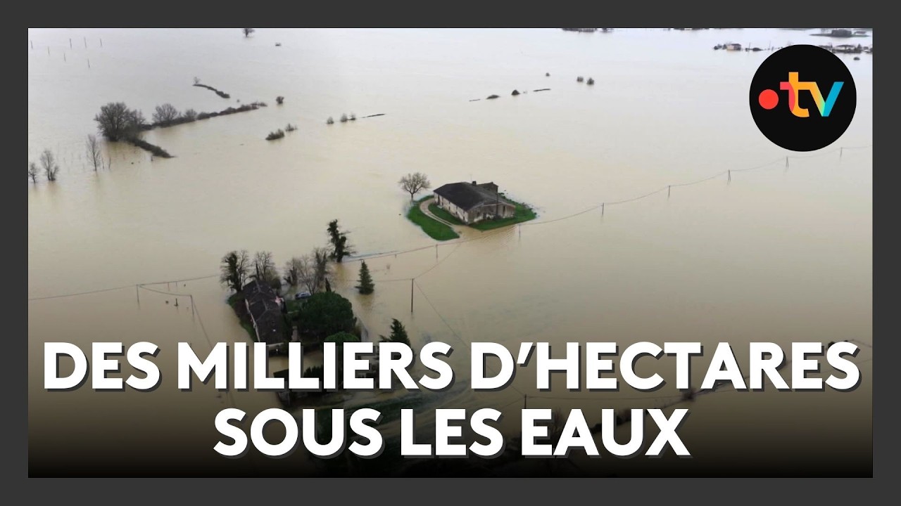Des paysages méconnaissables après les inondations en Gironde