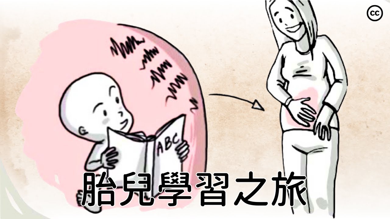 【胎兒的產前故事】胎兒在子宮中學習了什麼？深入探索產前發育的奧秘！