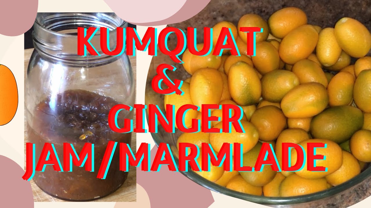 || Kumquat & Ginger Marmalade/Jam || Gluten Free |
