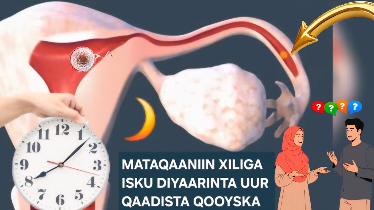 ADOO RUNTA KA SHEEGAAYO MAXAAD KA TAQAANAA XILIGA AAD EEY TAHAY DIYAAR UGXAANTAADA BILWALBE 
