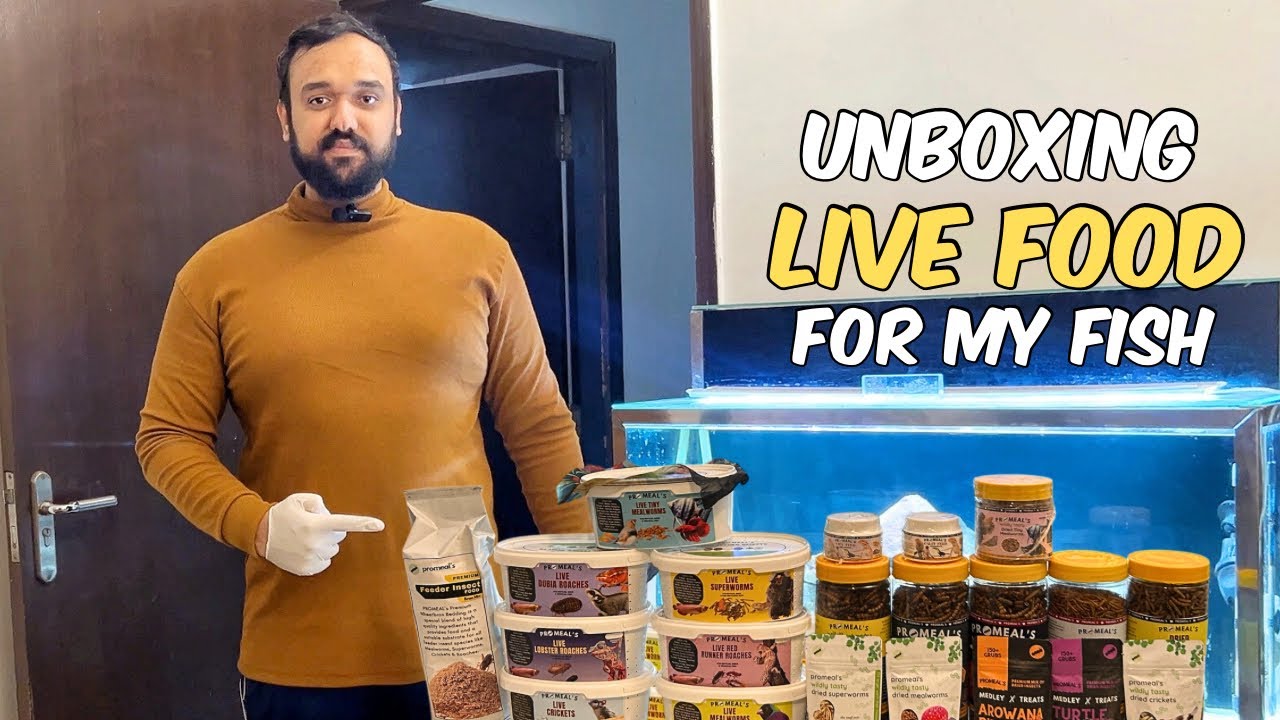Promeal Dried and Live Feeder Insects Unboxing and Review