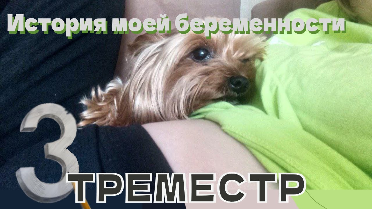 История моей беременности — 3 тримистр