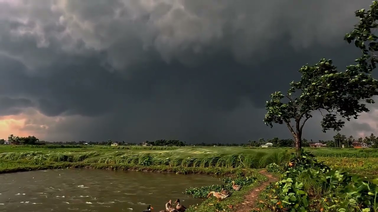 Row clip in nature view in monsoon camera resort by iPhone15 4K at 60fps 👀🔥
