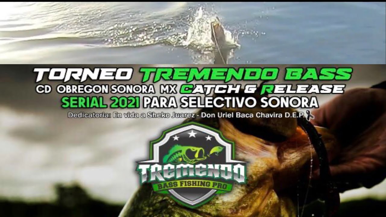 Pesca de Lobina -Torneo Estatal /Para Selectivo Nacional De Orilla - Presa Oviachic Obregon Son.