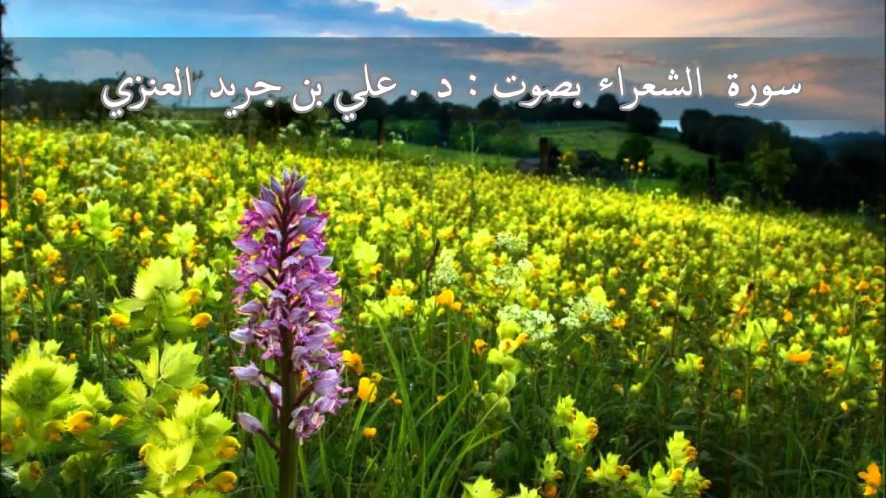 سورة الشعراء - علي جريد