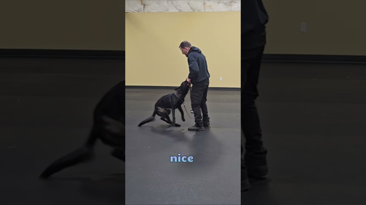 Tug Intro with Fives!