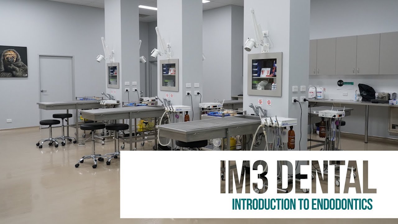 im3 introduction to endodontics workshop