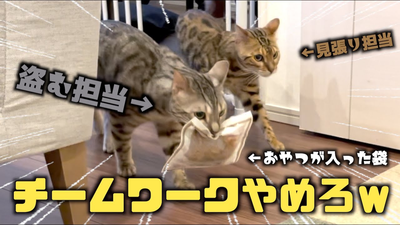 おまえらこういう時だけタッグ組んで泥棒すなｗｗｗ