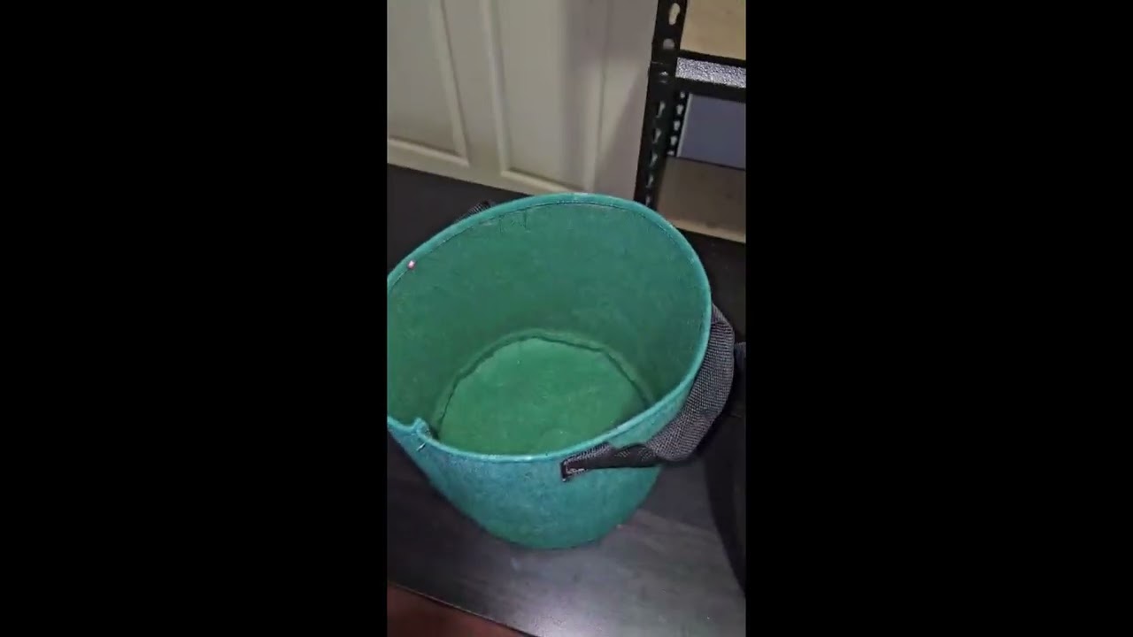 popping seeds and filling pots #grow #growagarden #growjourney #diy #seeds #beginnergrower