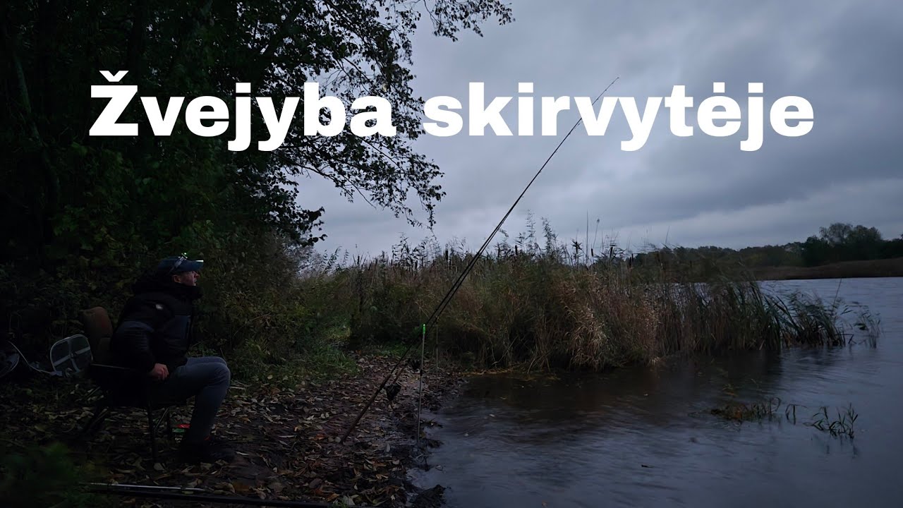 ŽVEJYBA | SKIRVYTĖ | Karšio yra bet.. 2025-10-16