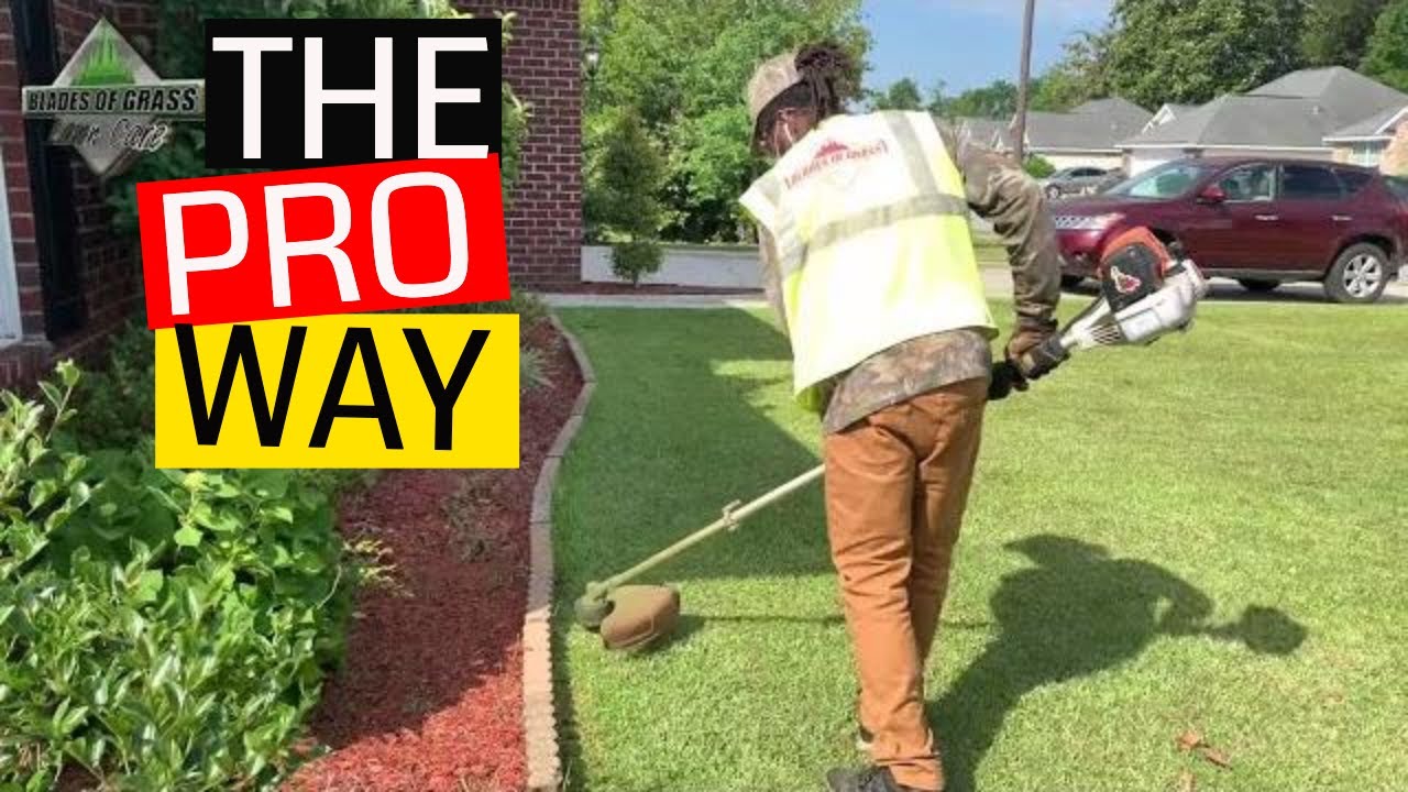 What's with that edging and turf lining