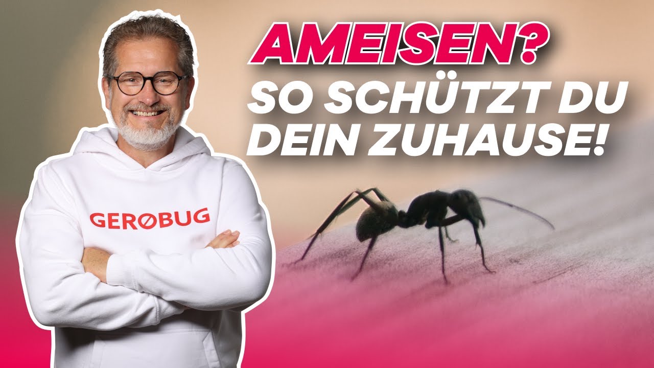 Ameisen-Alarm🚨: SO kannst SOFORT Ameisen bekämpfen!