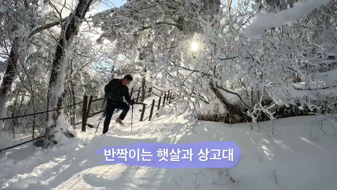 상고대 눈꽃 최고 태백산을 만낫다