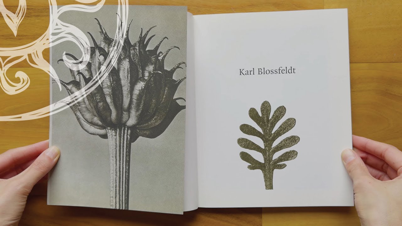 Karl Blossfeldt Photographs 1865-1932 Art Book (Complete Book Flip Through)