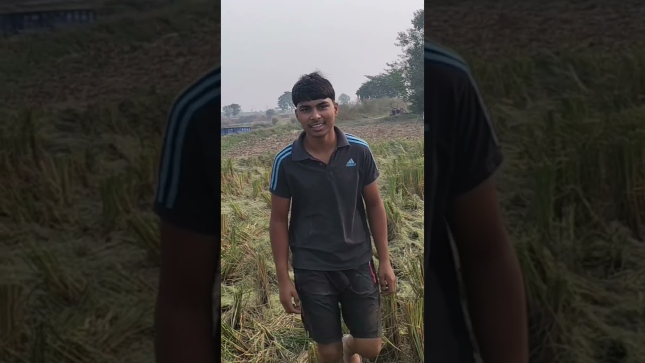 131402 पिपली