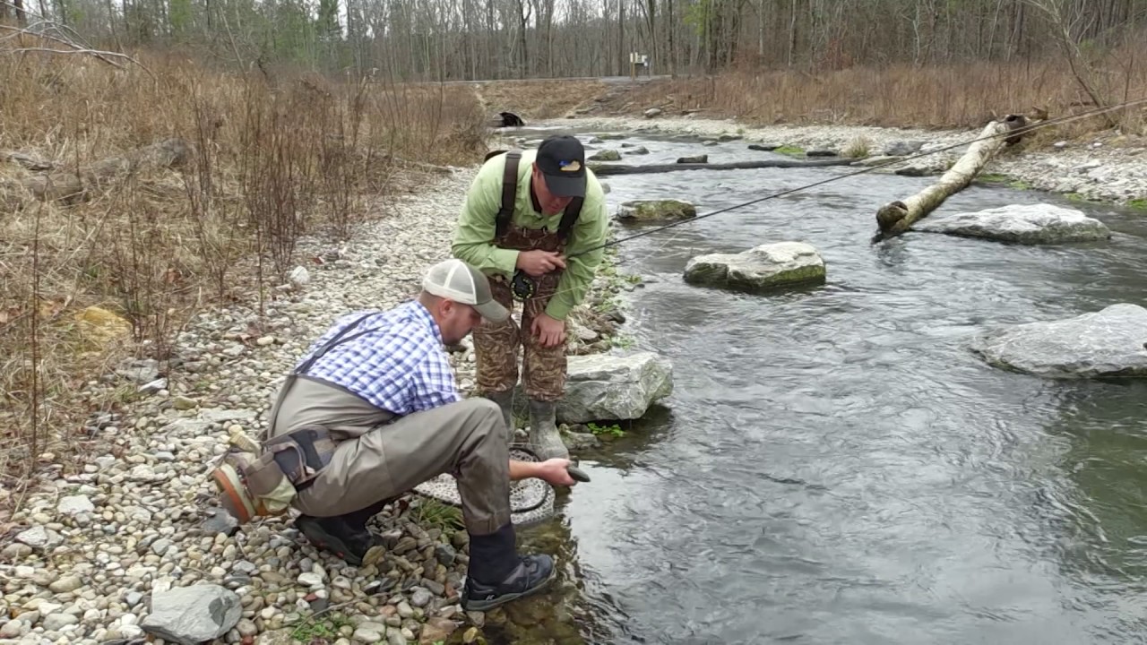 Awesome Trout Fishing at Hatchery Creek