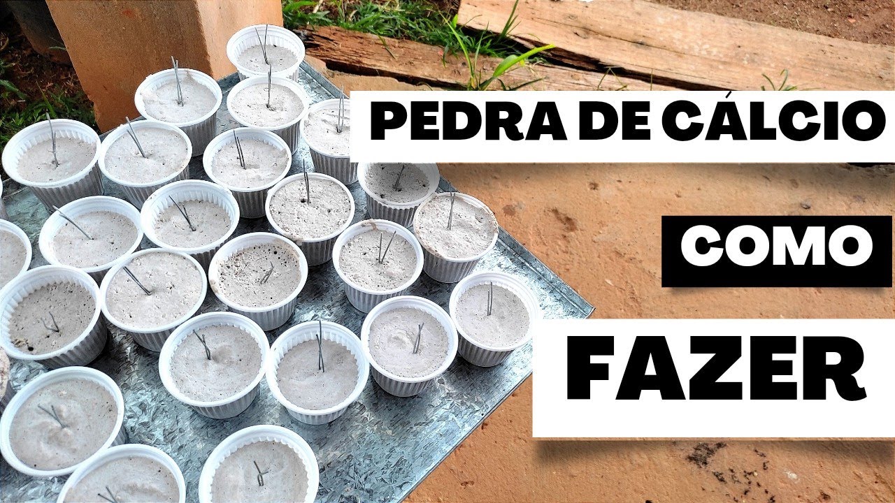 COMO FAZER A PEDRA DE CALCIO PARA AS AVES | CASEIRA