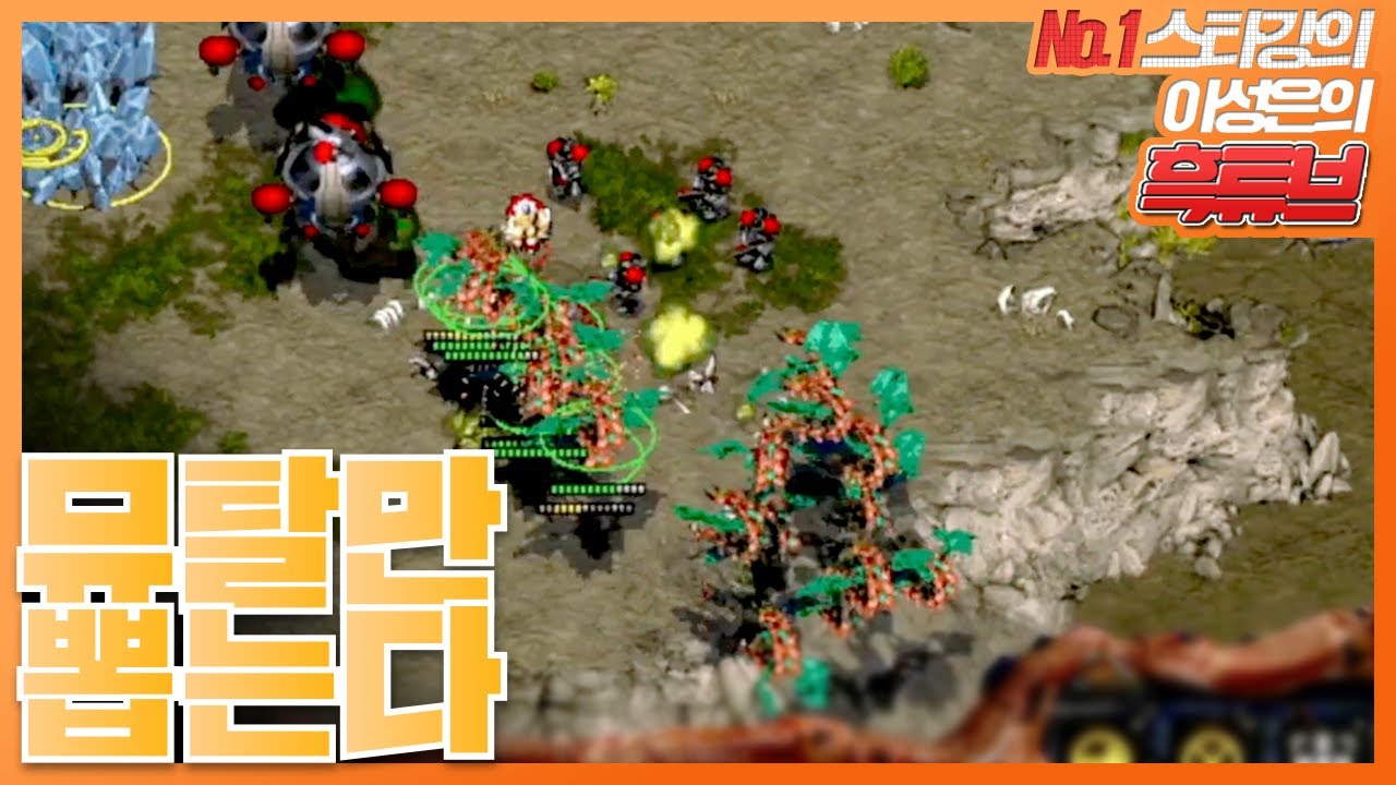 ONLY뮤탈 리뉴얼버전!! 복잡한 건 싫다, 뮤탈만 뽑아서 이기자ㅋㅋ