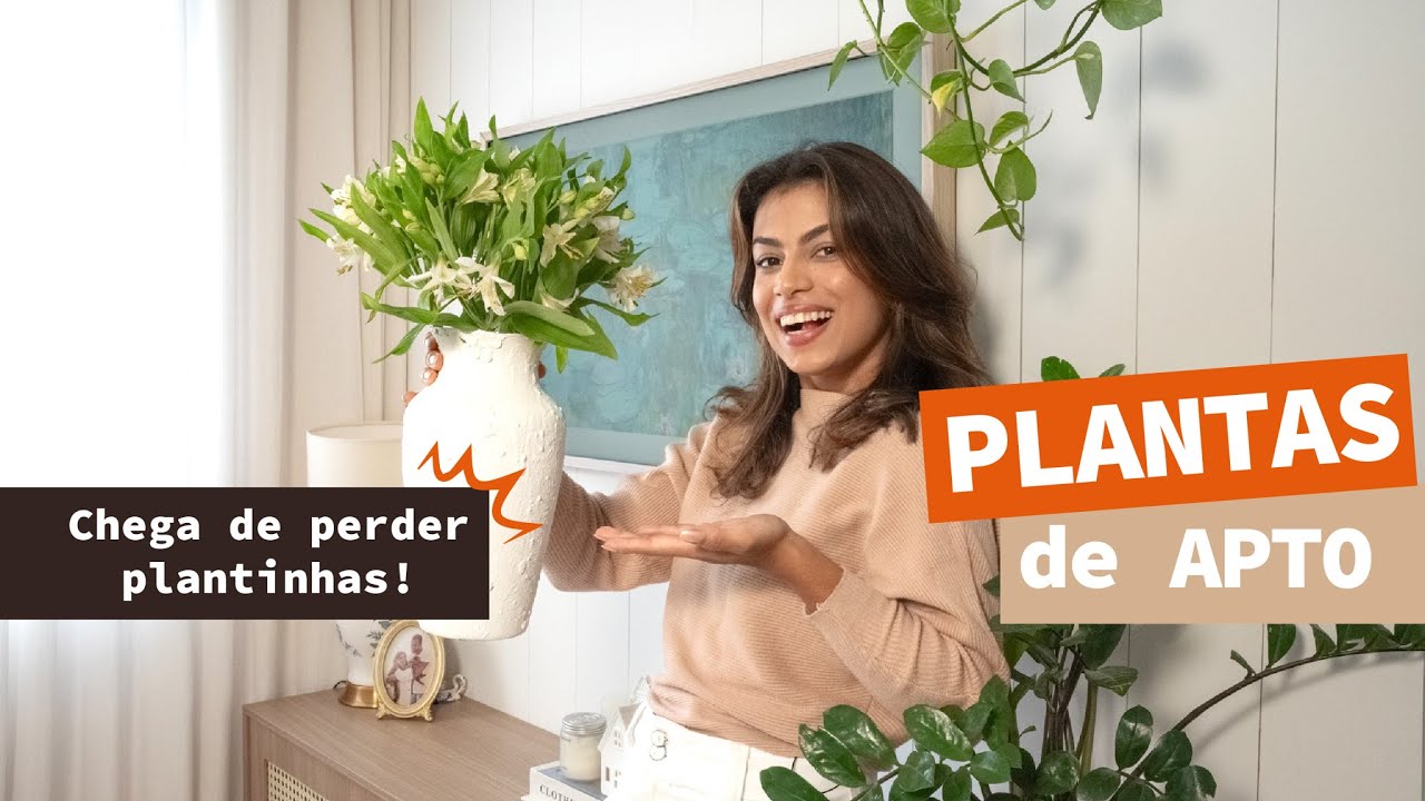 3 PLANTAS para apartamento - FÁCEIS de cuidar
