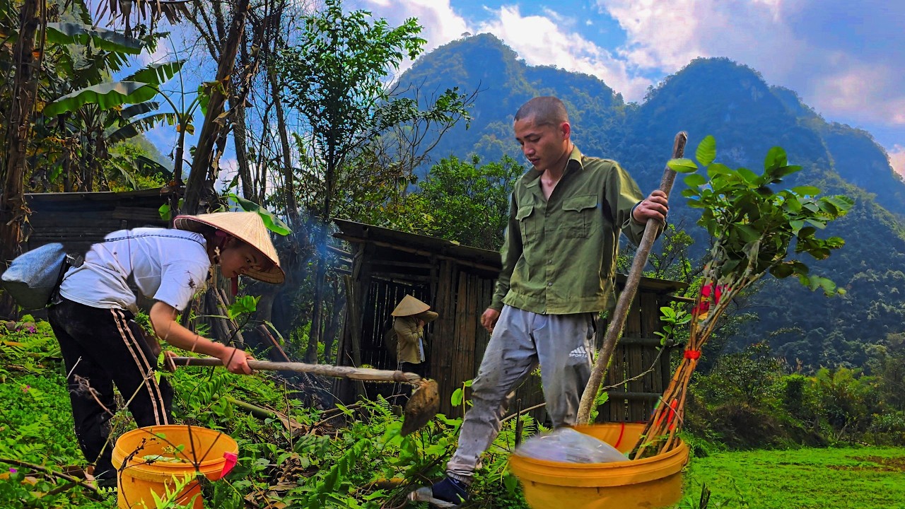 From city to valley | young couple planting fruit trees & rebuilding our life | Mountain couple