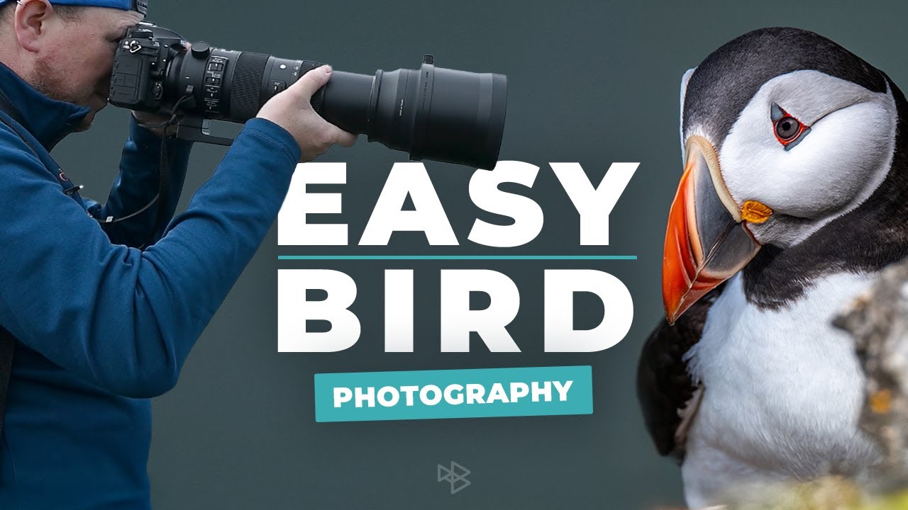 The Easiest Way To Get Good Bird Photography