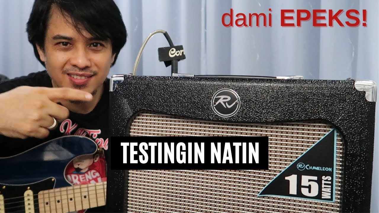RJ Chameleon Amp - Demo & Review of electric guitar modeling amplifier