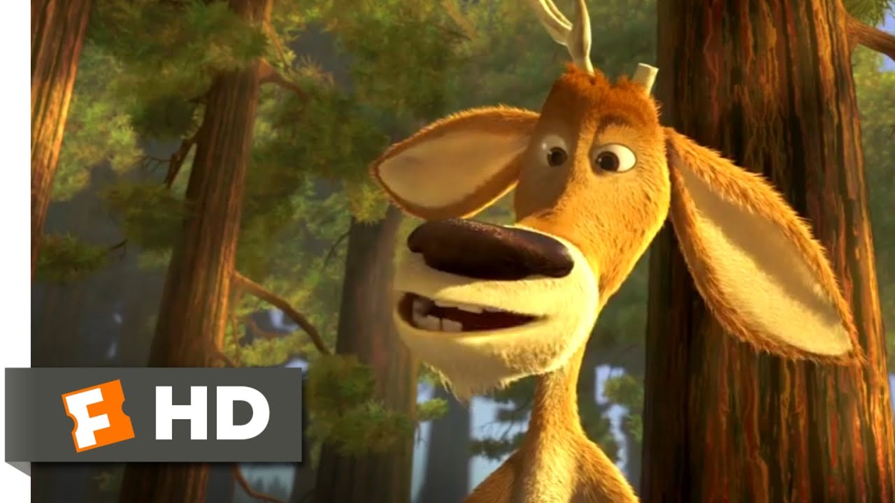 Open Season - Forest 101 | Fandango Family