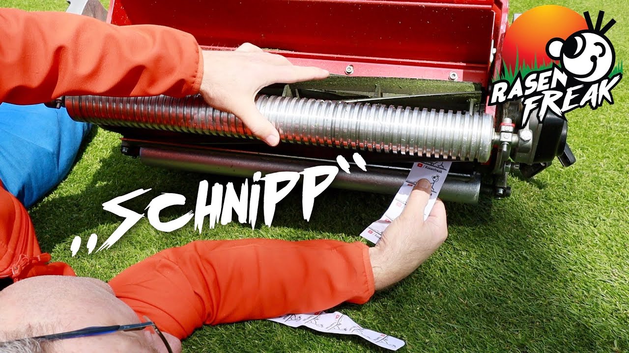 15 mm SCHNITTHÖHE beim RASENFREAK 🤭 - da geht noch was!