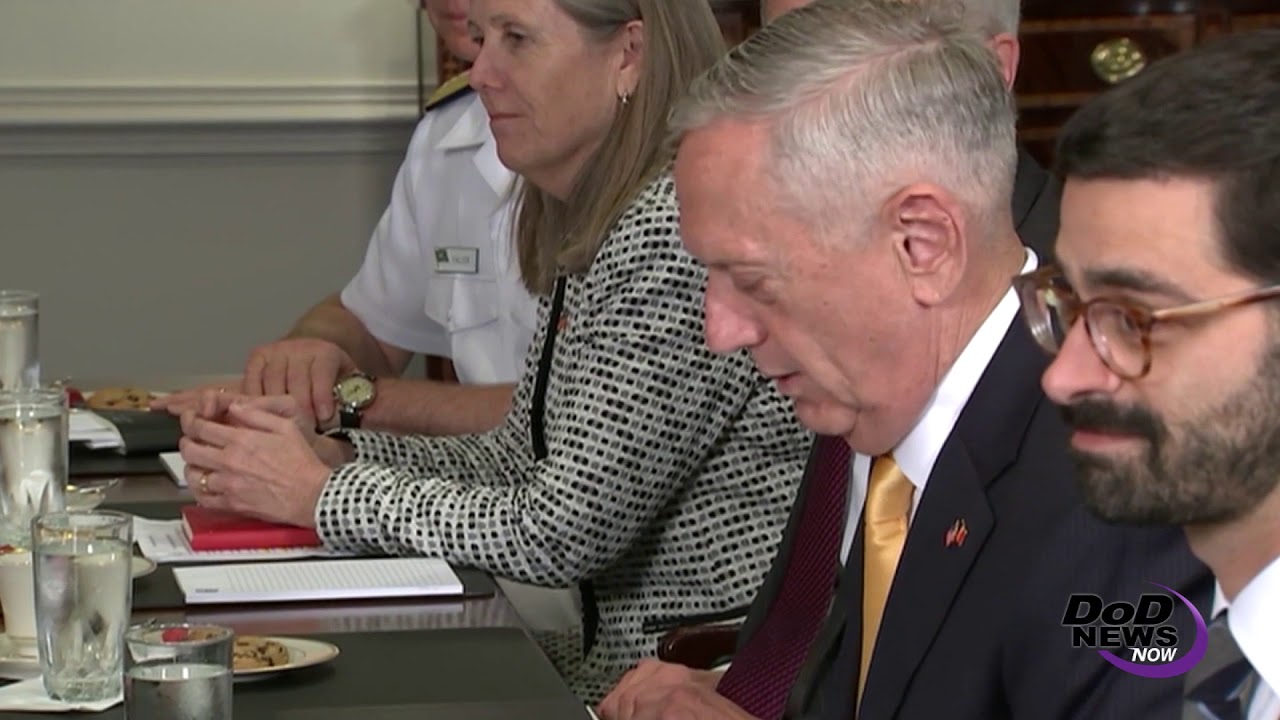 Mattis Meets With Romanian Defense Minister