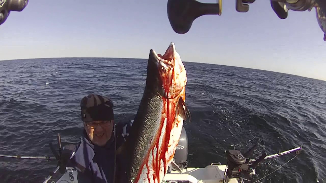 Salmon Trolling Bornholm 2014 (full version)