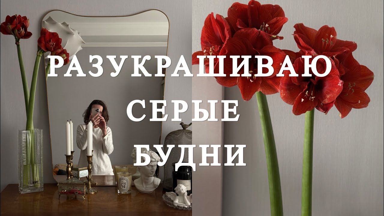 6 февраля 2026 г.