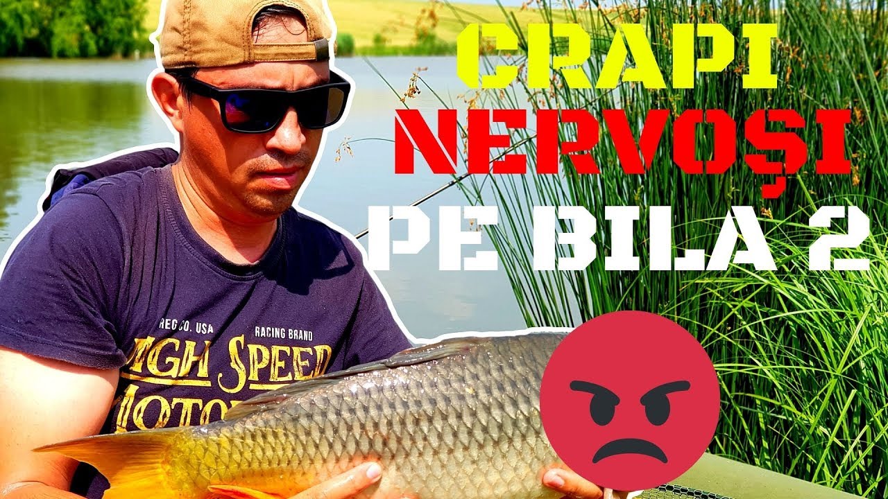 CRAPI NERVOŞI LA BILA 2 | Cupa A. P. A. la Feeder EDITIA I