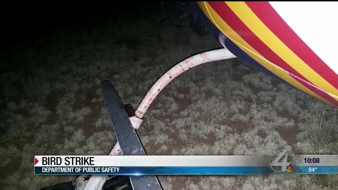DPS helicopter damaged by bird strike back in service