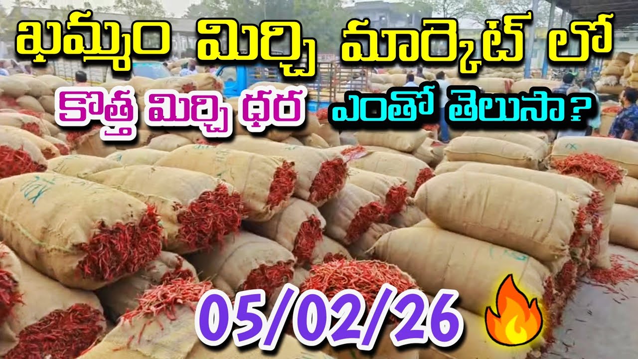 05/02/26 KHAMMAM MIRCHI MARKET PRICE TELANGANA RYTHU is live💥