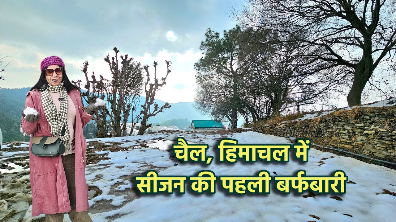 First snowfall of the season in Chail, Himachal