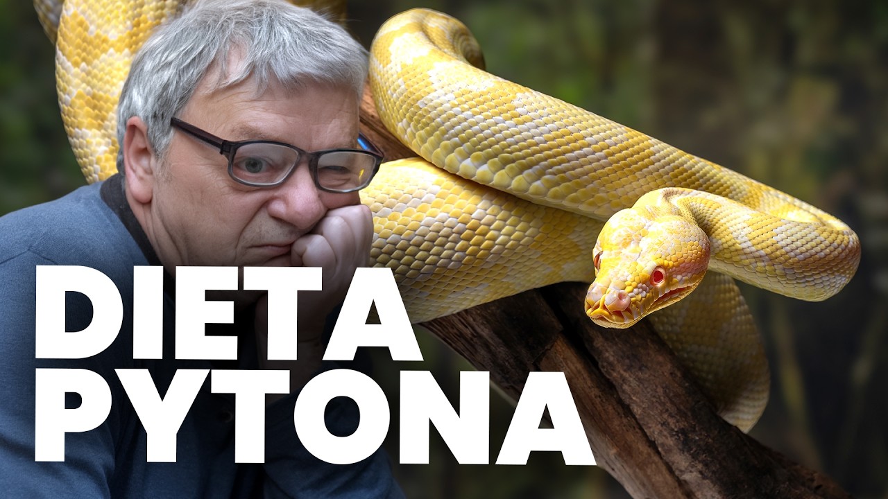 Dieta pytona - Felieton Tomasza Olbratowskiego