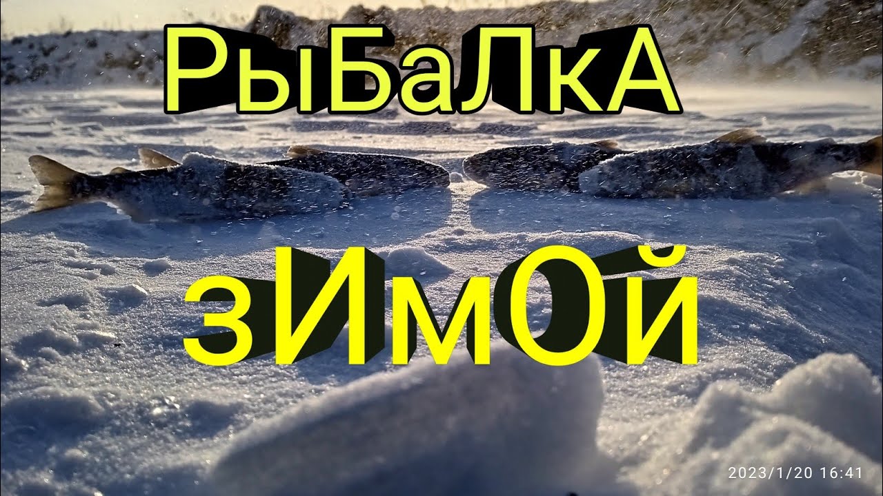 РЫБАЛКА В ПРОТОКЕ  СУЧАН/ПАРТИЗАНСКАЯ