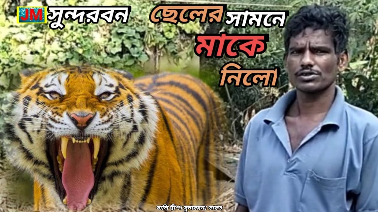 ছেলের সামনে বাঘ লাফিয়ে এসে নৌকা থেকে মাকে তুলে নিয়ে গেল।Tiger Attack।Sundarbans। Episode 23।