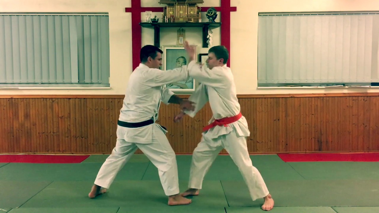 AIKIJUJUTSU - 5 Variations of Reverse Shoulder throw & Katame waza