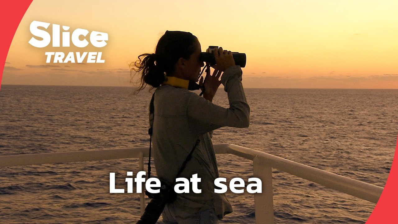 Exceptional boats, stories from the sea | SLICE TRAVEL | FULL DOC