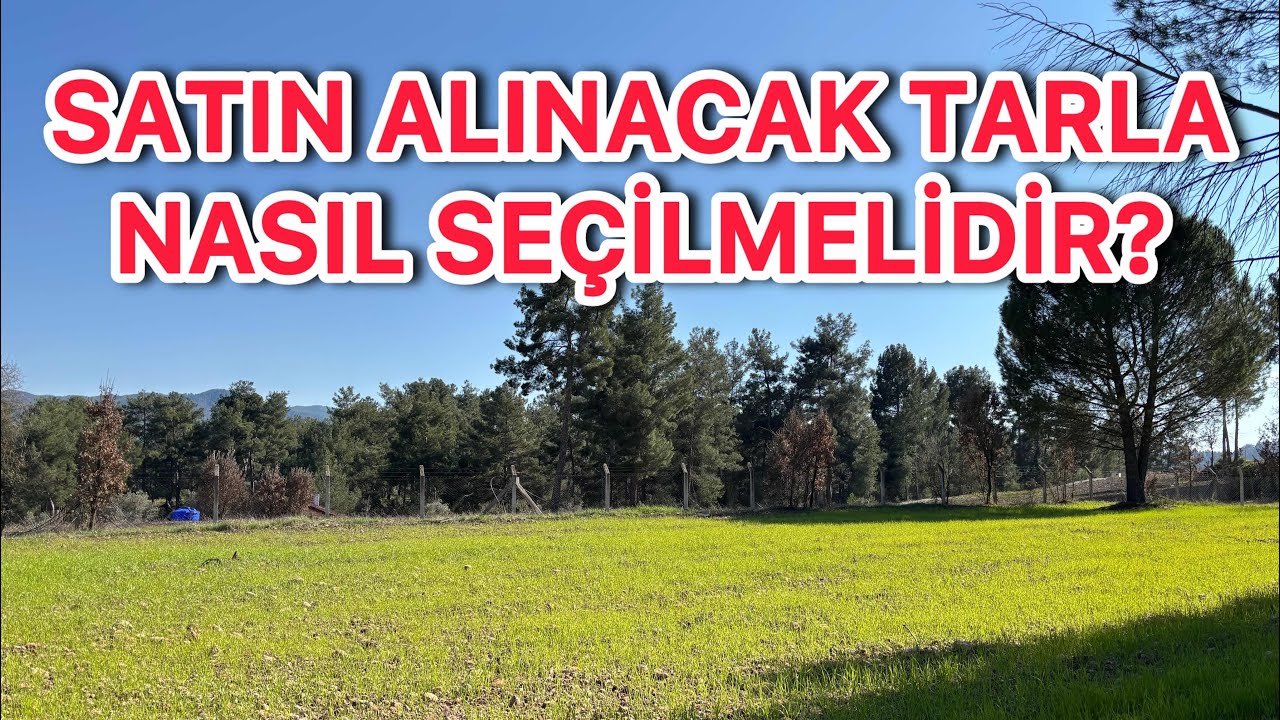 Satın Alınacak Tarla Seçiminde Önemli Detaylat