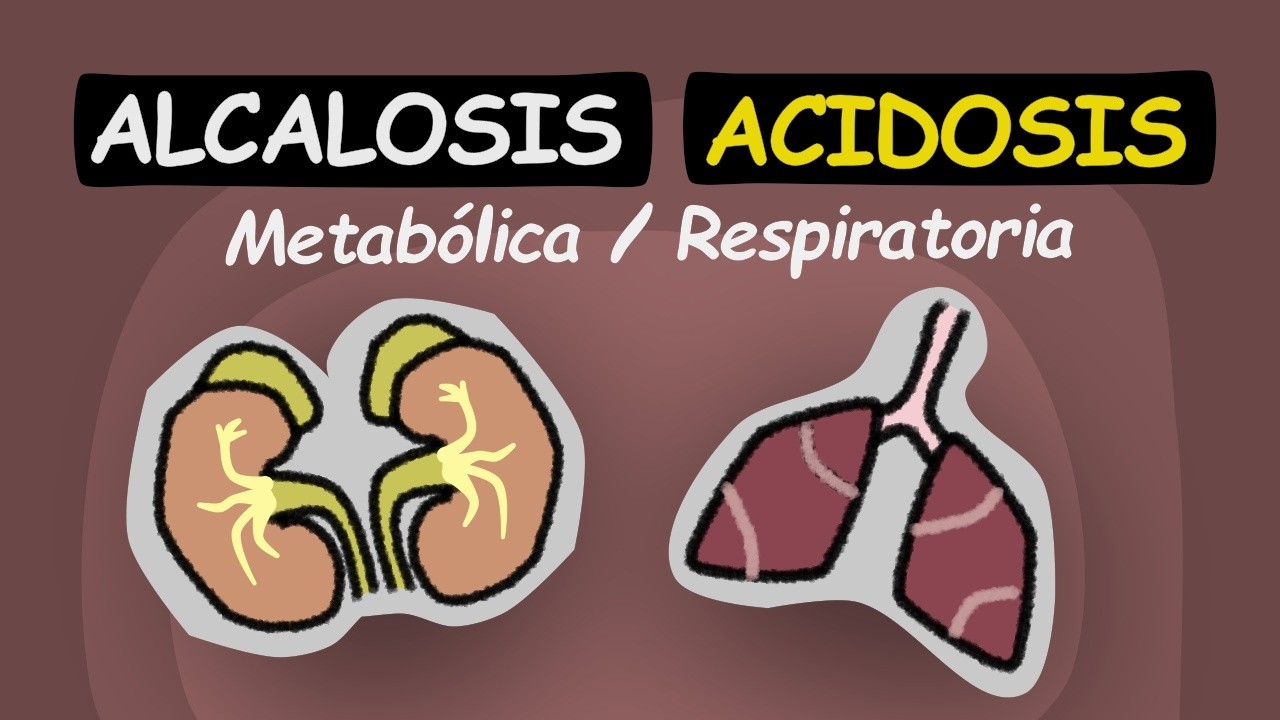 🧪 Понимание ацидоза и алкалоза (дыхательного и метаболического) 🧪