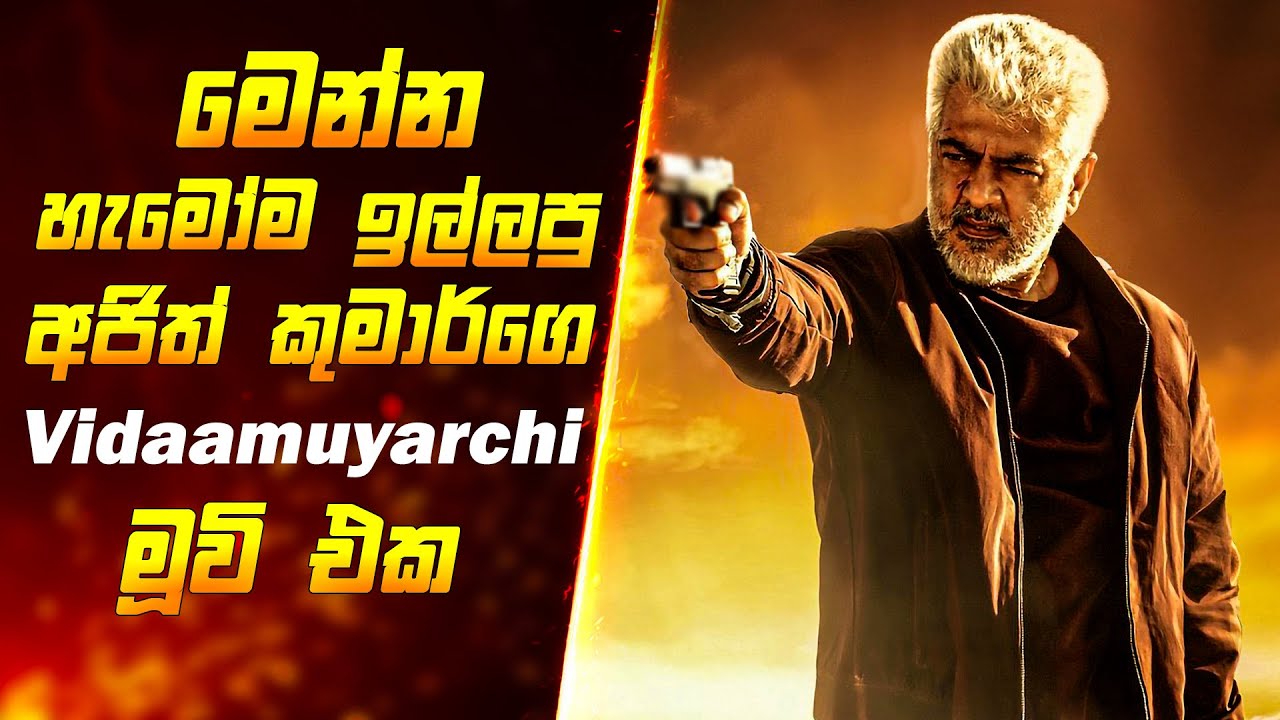 මෙන්න හැමෝම ඉල්ලුව 2025 සුපිරිම විදාමුයාචි මූවි එක | Movie review sinhala | Sinhala review