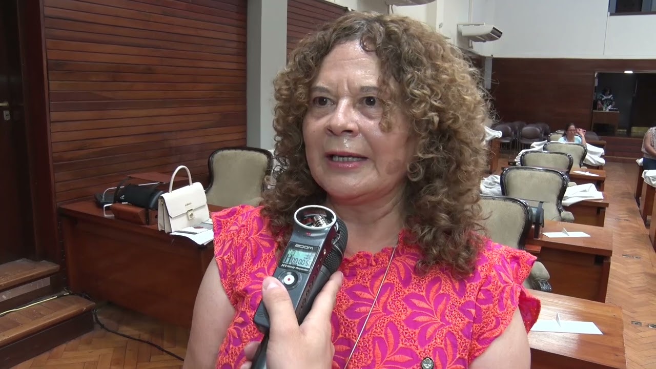 29 de Octubre de 2024 - Dip. Alejandra El&iacute;as - Bloque Cambia Jujuy