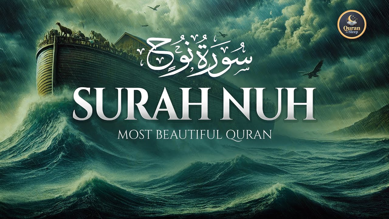 Surah Nuh (Noah) سورة نوح   | Peaceful Lofi Quran Recitation for Ultimate Sleep | #lofiquran